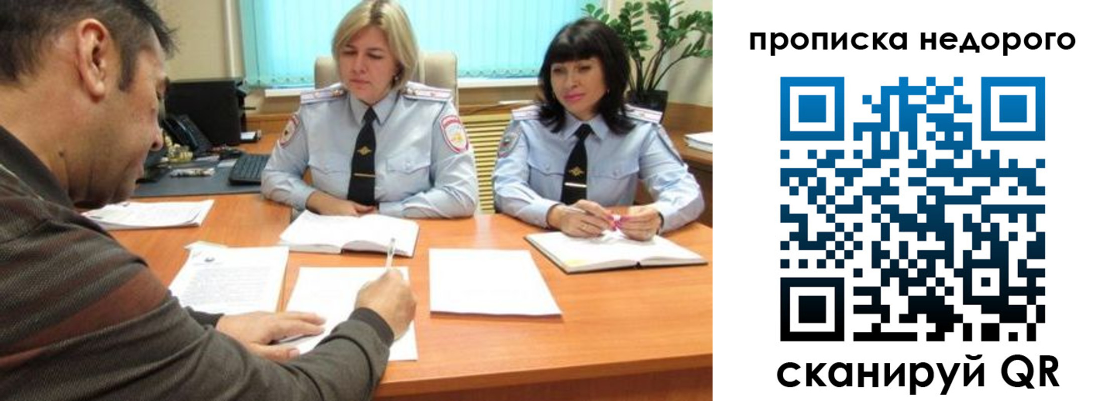 прописка поиск в Зеленоградске